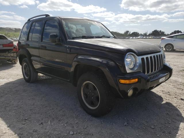 JEEP LIBERTY LI 2002 1j4gk58k42w205522