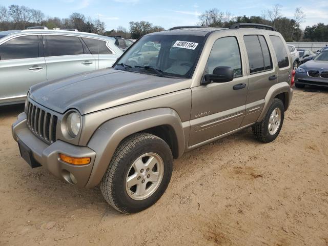 JEEP LIBERTY 2004 1j4gk58k54w195781