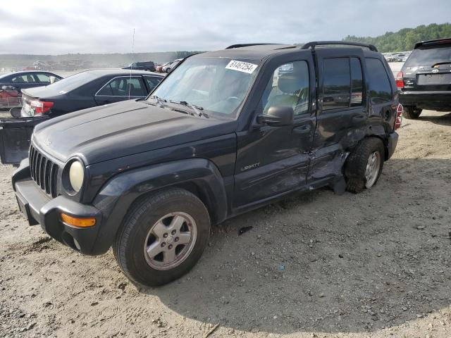 JEEP LIBERTY 2004 1j4gk58k54w230528