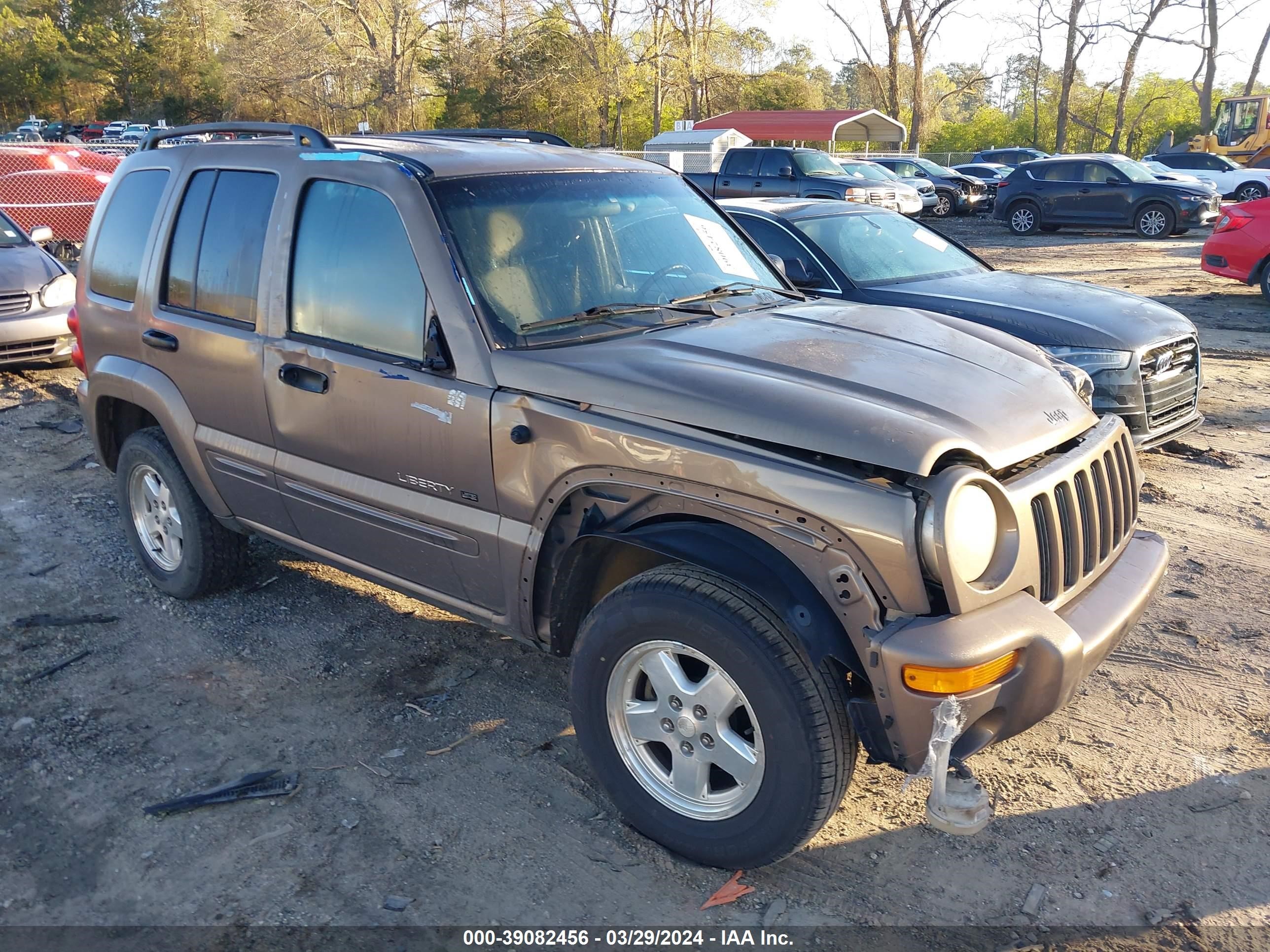 JEEP LIBERTY (NORTH AMERICA) 2002 1j4gk58k62w204551