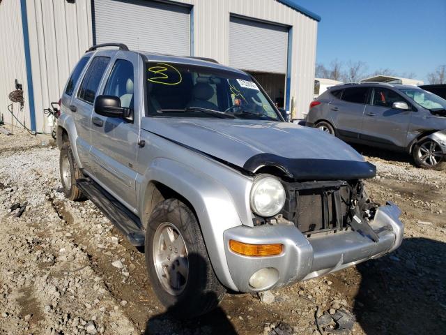 JEEP LIBERTY LI 2002 1j4gk58k62w317481