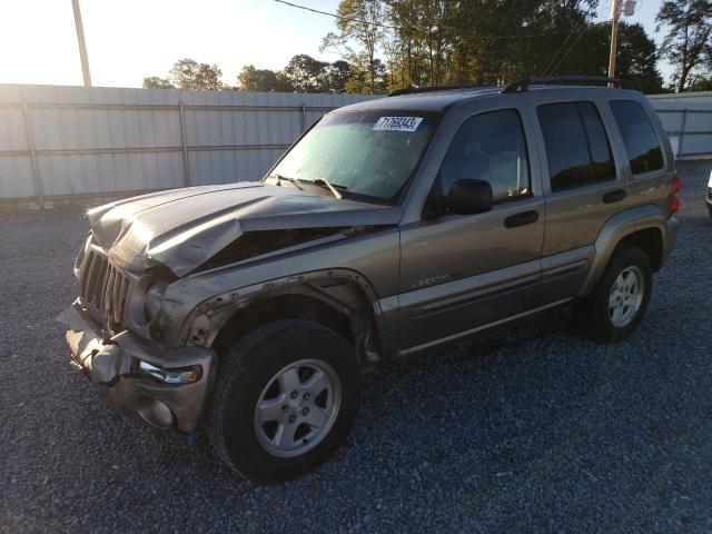 JEEP LIBERTY 2003 1j4gk58k73w670989