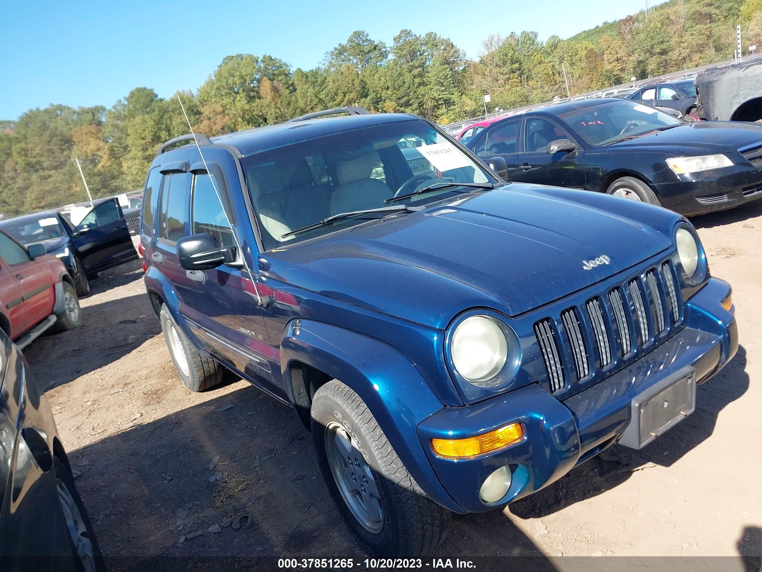 JEEP LIBERTY (NORTH AMERICA) 2003 1j4gk58k73w672340