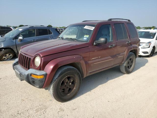 JEEP LIBERTY 2002 1j4gk58k82w181922