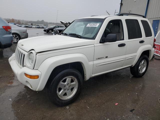 JEEP LIBERTY 2002 1j4gk58k92w121339