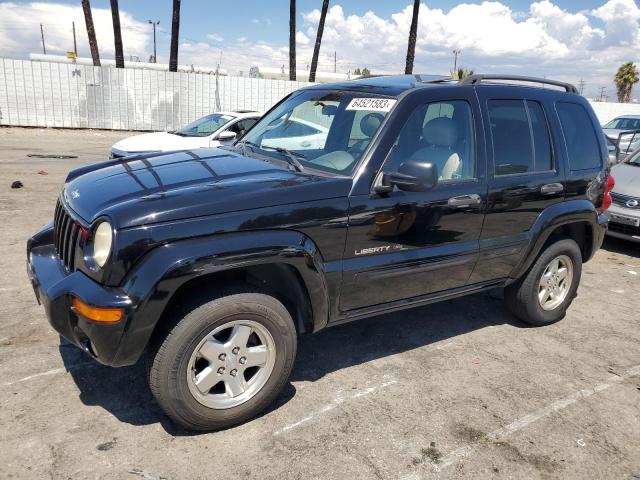 JEEP LIBERTY LI 2002 1j4gk58k92w220405