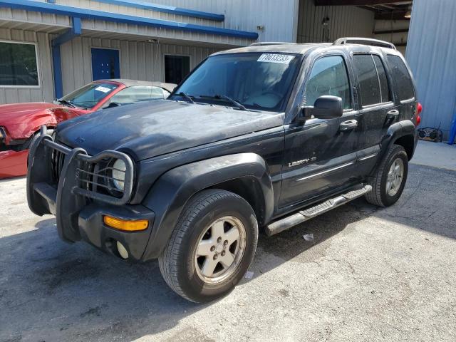 JEEP LIBERTY 2002 1j4gk58k92w283245