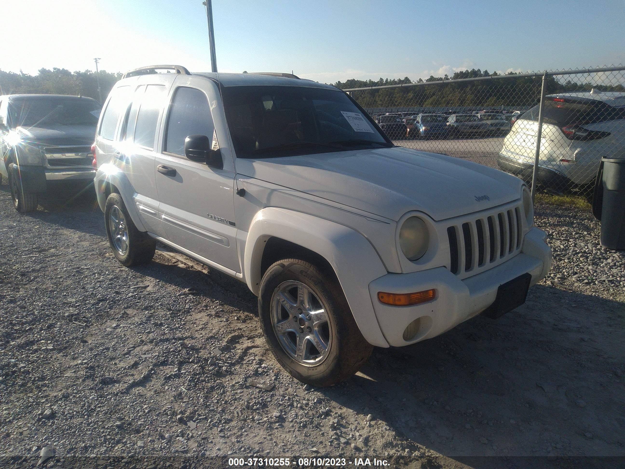 JEEP LIBERTY (NORTH AMERICA) 2004 1j4gk58k94w174397