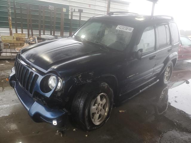 JEEP LIBERTY 2002 1j4gk58kx2w317466