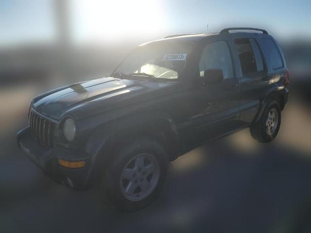 JEEP LIBERTY 2002 1j4gk58kx2w336051