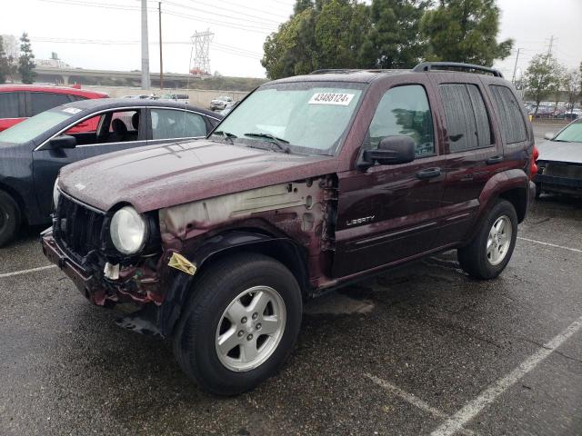 JEEP LIBERTY 2004 1j4gk58kx4w174327