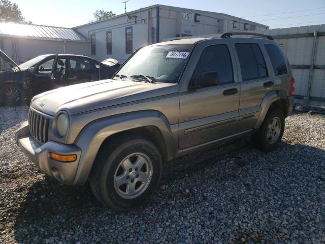 JEEP LIBERTY 2004 1j4gk58kx4w257028