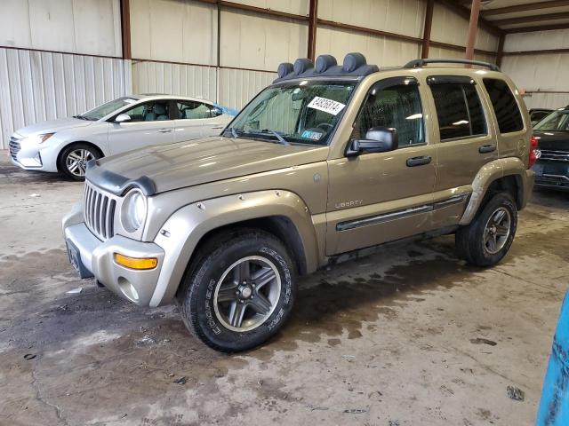 JEEP LIBERTY RE 2004 1j4gl38k04w164021