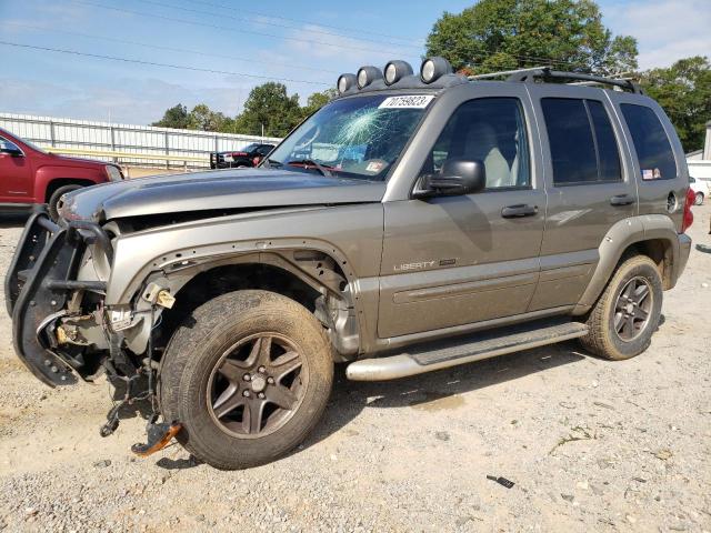 JEEP LIBERTY 2002 1j4gl38k12w367142