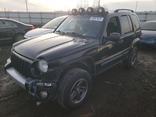 JEEP LIBERTY 2004 1j4gl38k14w153576