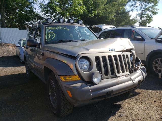 JEEP LIBERTY RE 2005 1j4gl38k15w725635