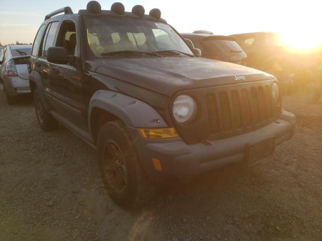 JEEP LIBERTY RE 2006 1j4gl38k16w133685