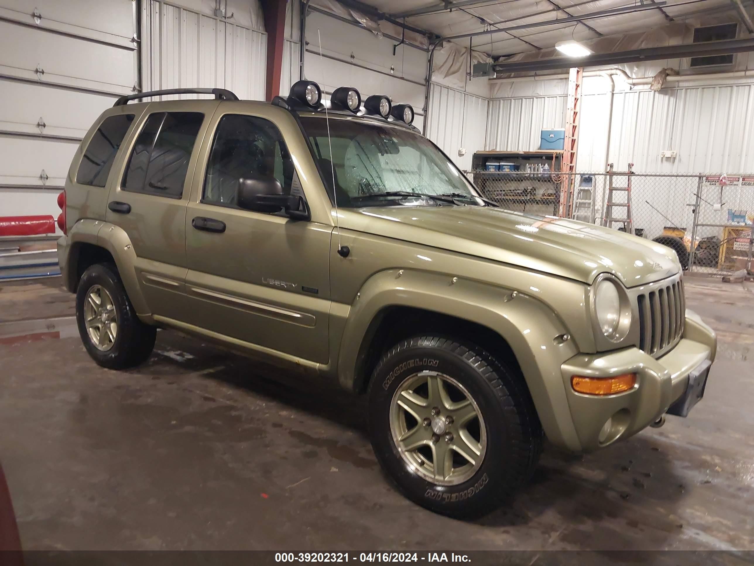 JEEP LIBERTY (NORTH AMERICA) 2002 1j4gl38k22w332304