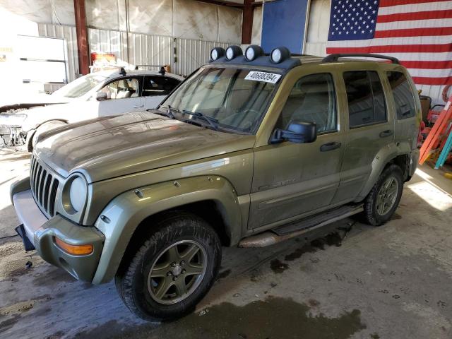 JEEP LIBERTY 2002 1j4gl38k22w333212