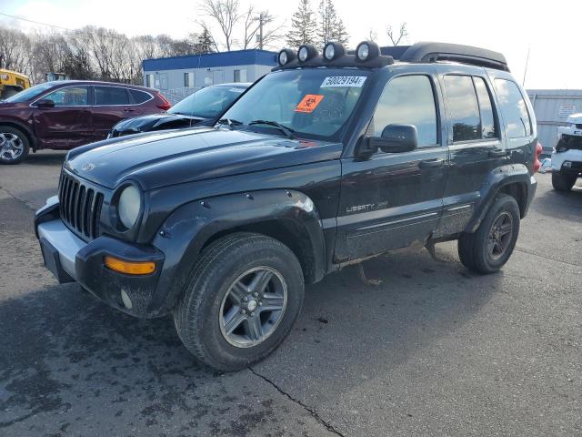 JEEP LIBERTY 2003 1j4gl38k23w735538