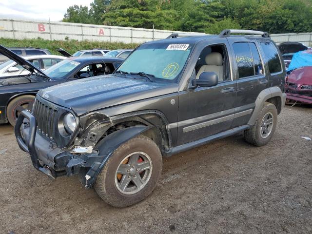 JEEP LIBERTY RE 2005 1j4gl38k25w607089