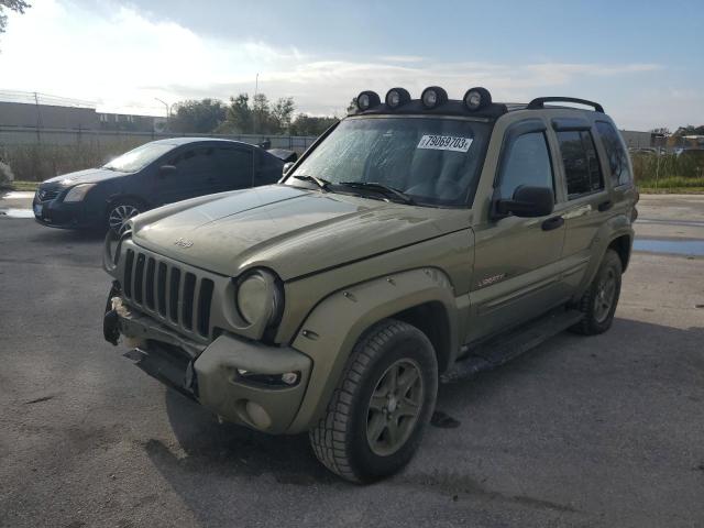 JEEP LIBERTY 2002 1j4gl38k32w331534