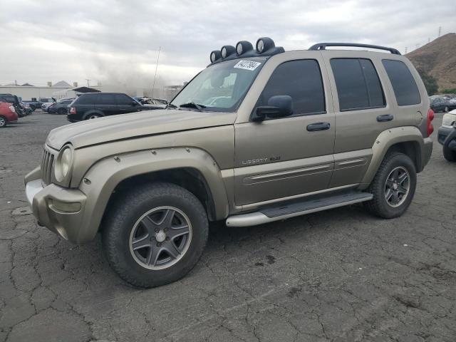 JEEP LIBERTY RE 2002 1j4gl38k32w367255