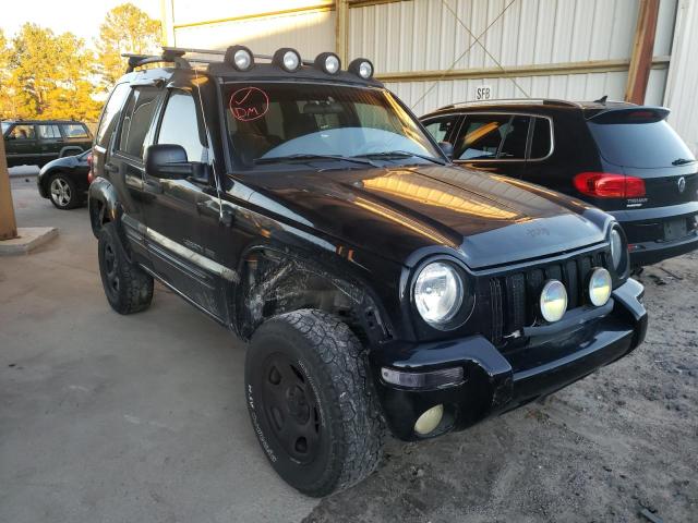 JEEP LIBERTY RE 2003 1j4gl38k33w634668