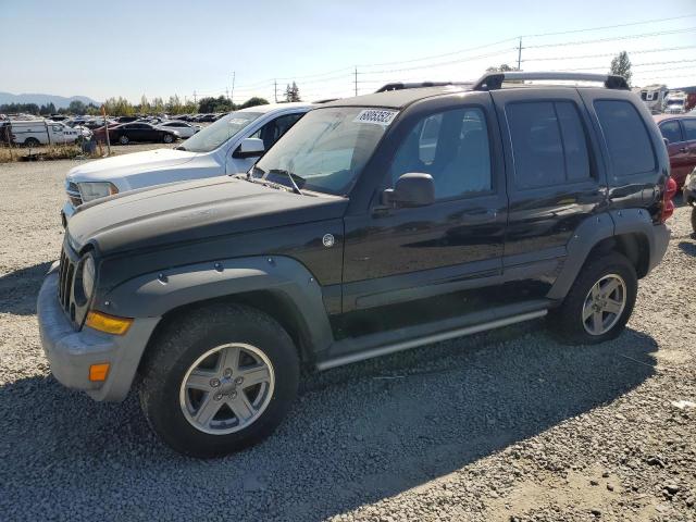 JEEP LIBERTY RE 2006 1j4gl38k36w130884