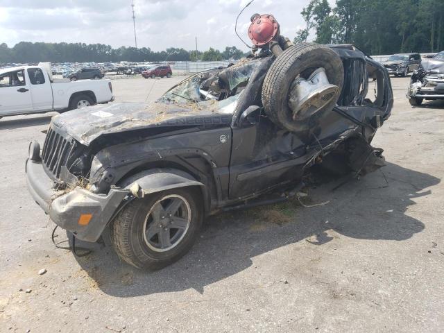 JEEP LIBERTY RE 2006 1j4gl38k36w290845