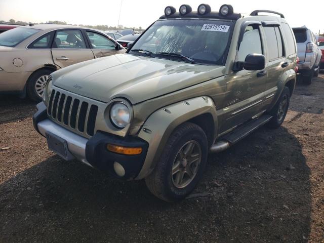 JEEP LIBERTY 2002 1j4gl38k52w346973