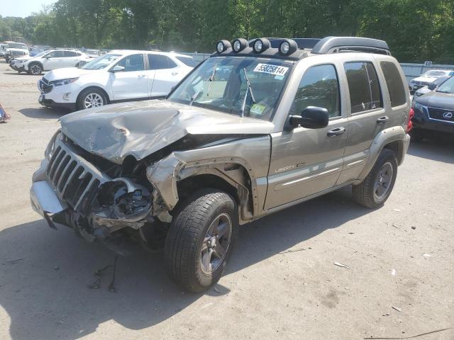 JEEP LIBERTY 2003 1j4gl38k53w591659