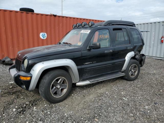 JEEP LIBERTY 2003 1j4gl38k53w602286