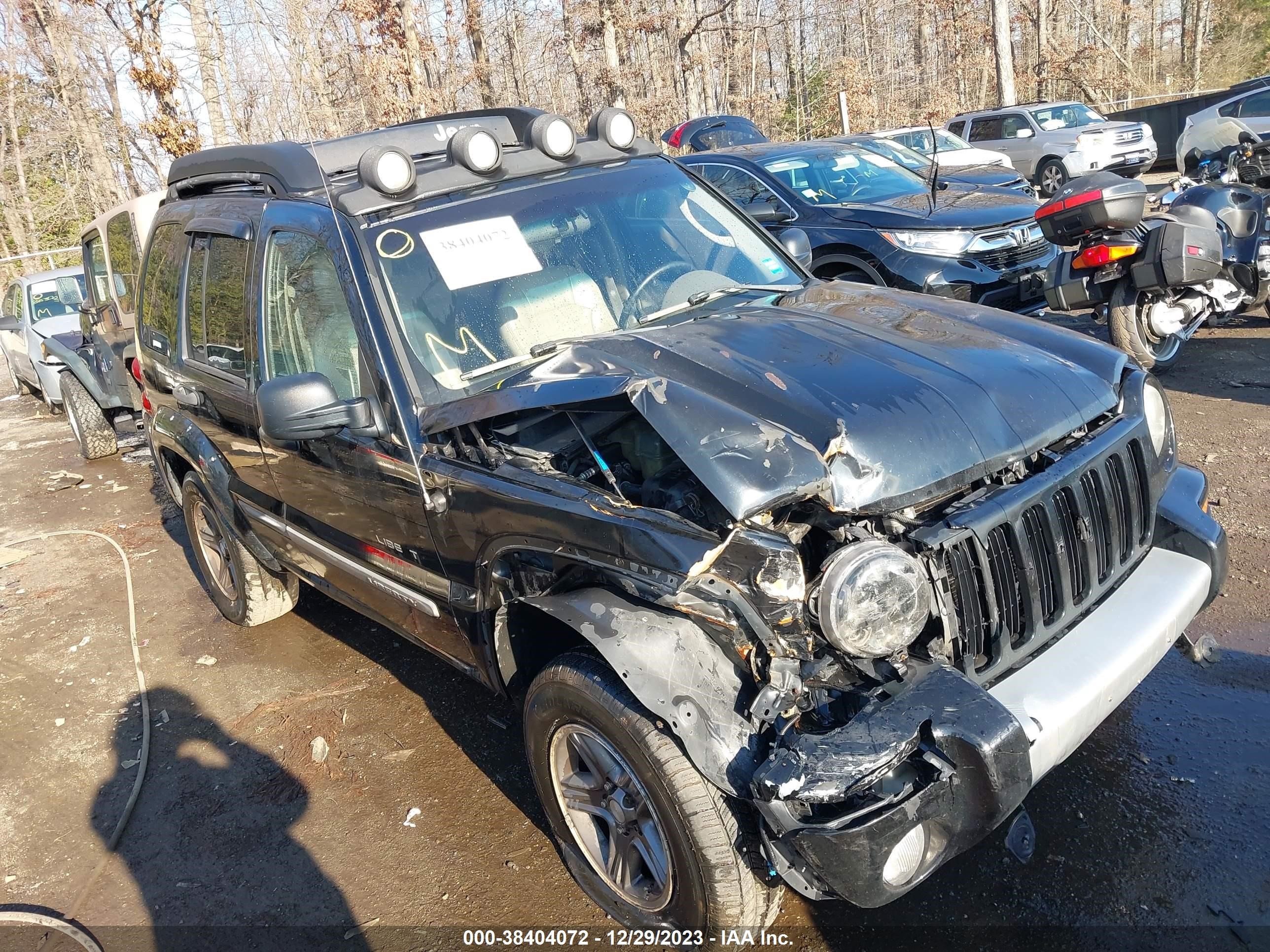 JEEP LIBERTY (NORTH AMERICA) 2004 1j4gl38k54w222589