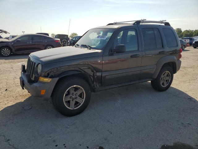 JEEP LIBERTY RE 2005 1j4gl38k55w512736