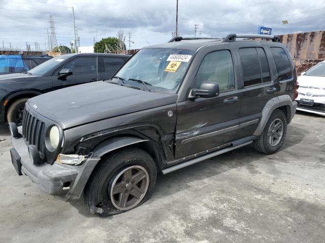 JEEP LIBERTY RE 2005 1j4gl38k55w520920