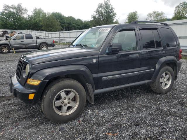 JEEP LIBERTY RE 2005 1j4gl38k55w678545