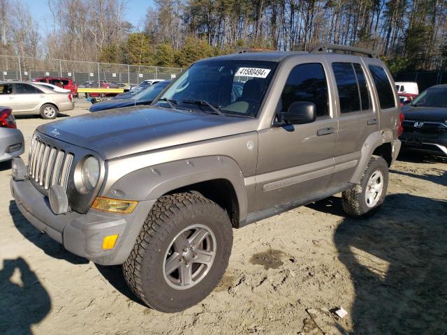 JEEP LIBERTY 2005 1j4gl38k55w685219