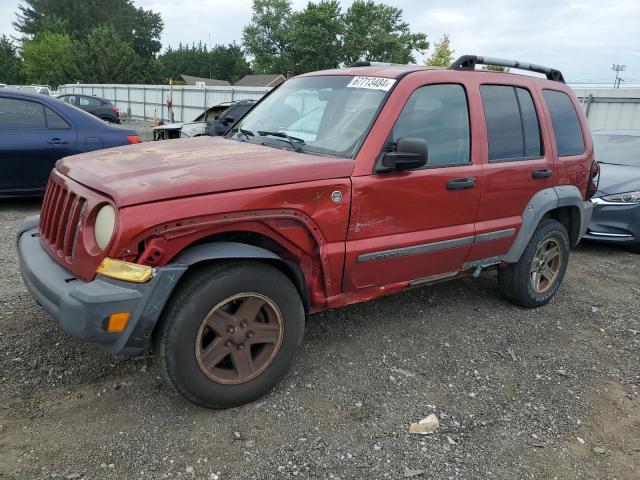 JEEP LIBERTY RE 2006 1j4gl38k56w293276