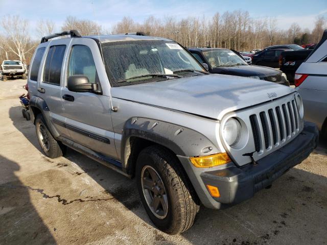 JEEP LIBERTY RE 2005 1j4gl38k65w724061