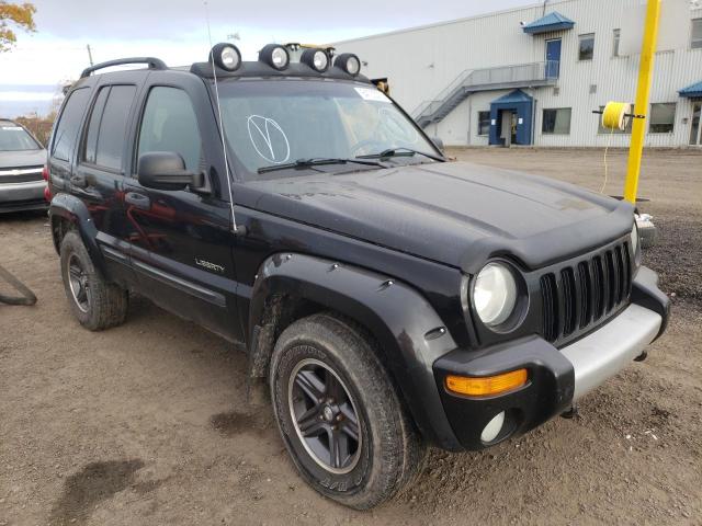 JEEP LIBERTY RE 2004 1j4gl38k84w312495