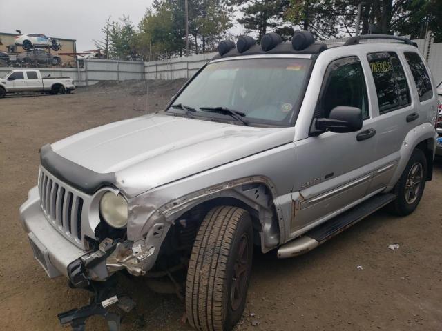 JEEP LIBERTY RE 2002 1j4gl38k92w336897