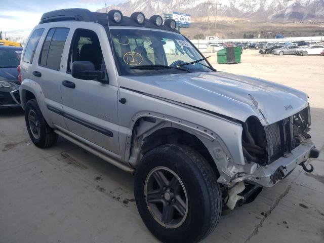 JEEP LIBERTY RE 2004 1j4gl38k94w161294