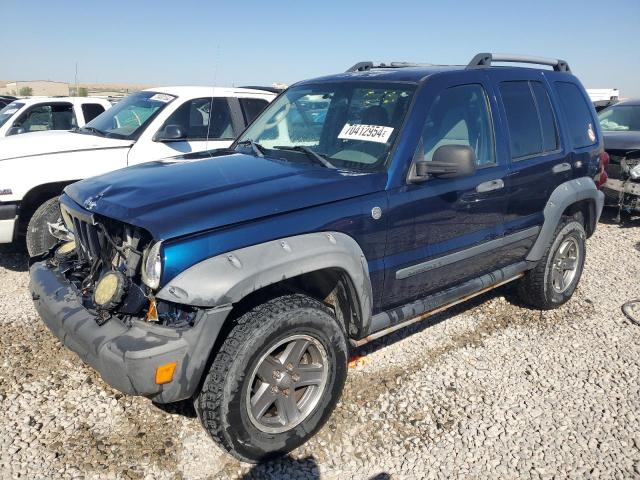 JEEP LIBERTY RE 2005 1j4gl38k95w526364