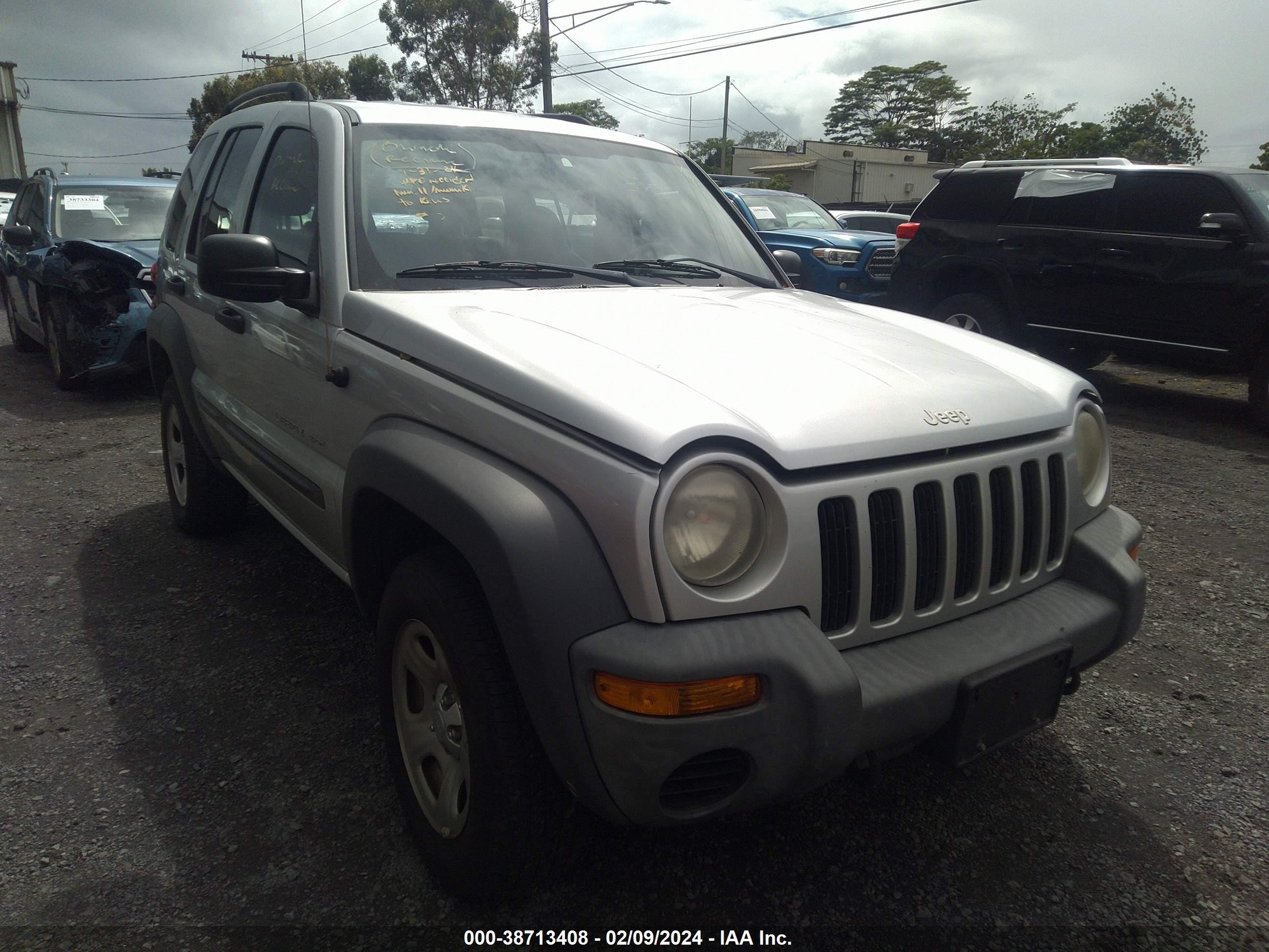 JEEP LIBERTY (NORTH AMERICA) 2003 1j4gl48123w639566