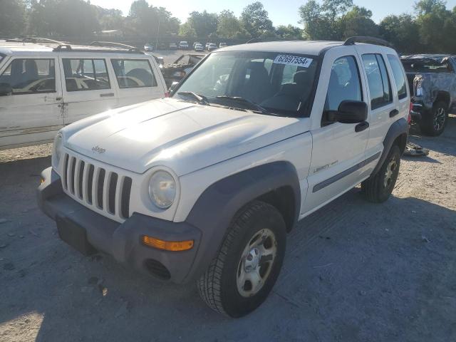 JEEP LIBERTY 2003 1j4gl48153w517641