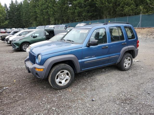 JEEP LIBERTY 2003 1j4gl48163w673381