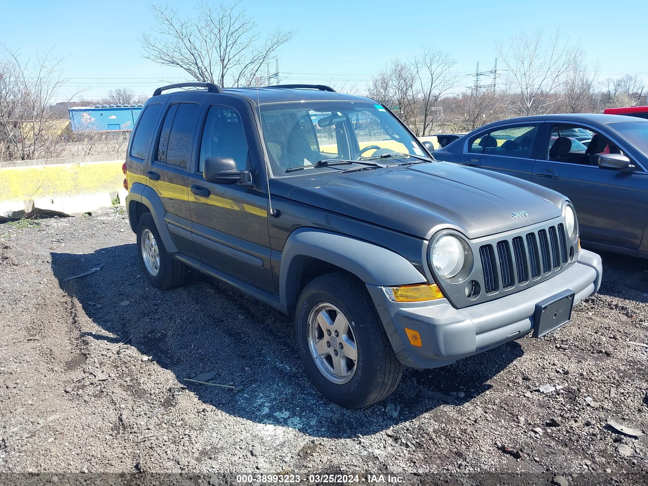 JEEP LIBERTY (NORTH AMERICA) 2006 1j4gl48536w130268