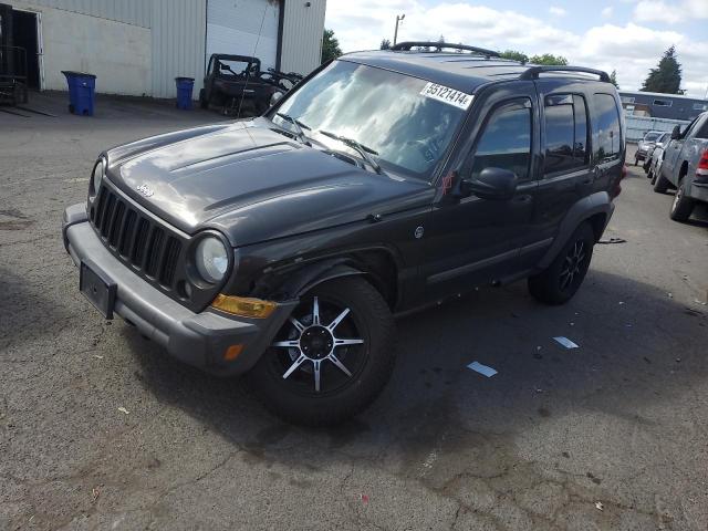 JEEP LIBERTY 2006 1j4gl48536w261992