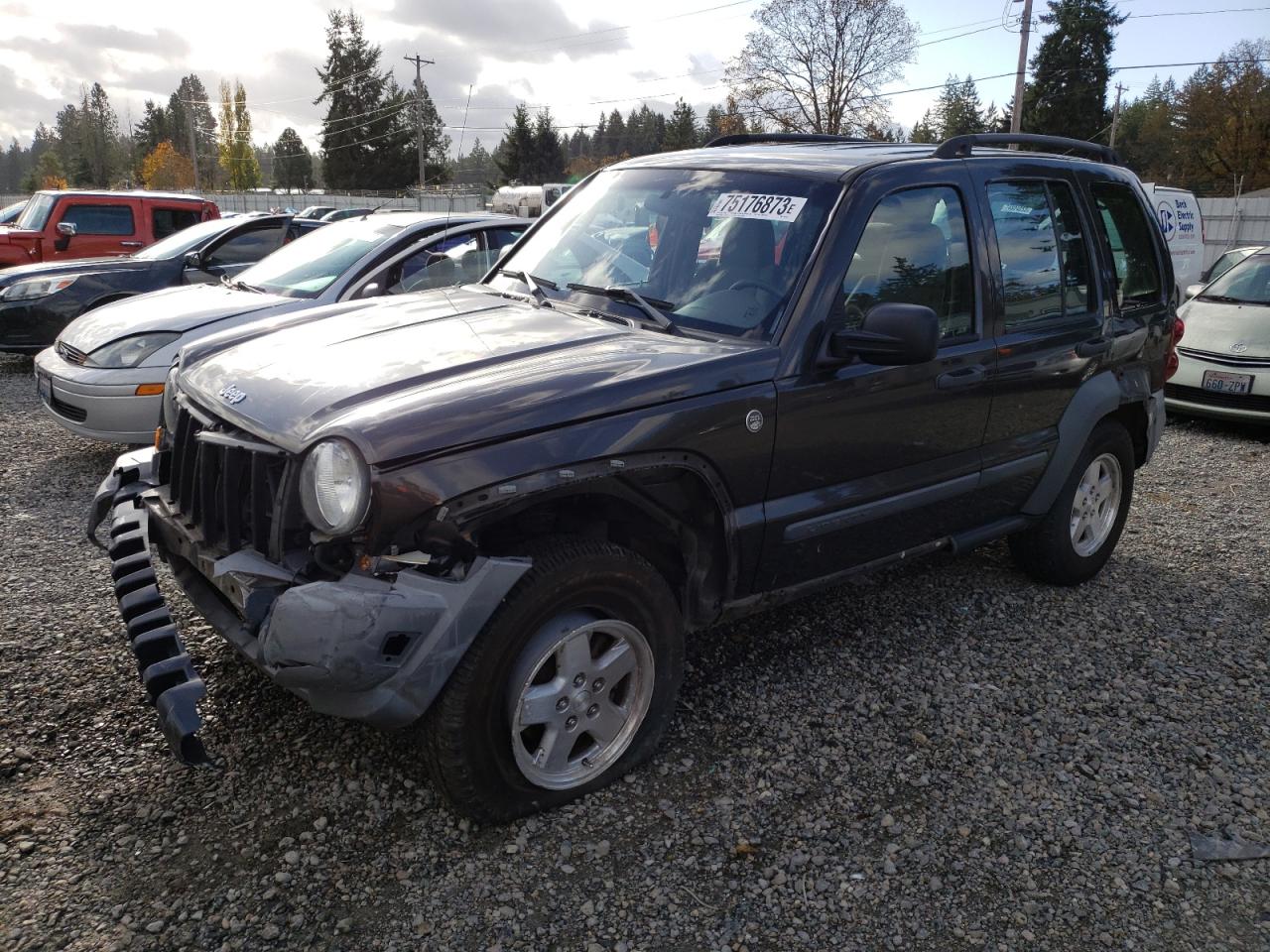 JEEP LIBERTY (NORTH AMERICA) 2005 1j4gl48585w680693